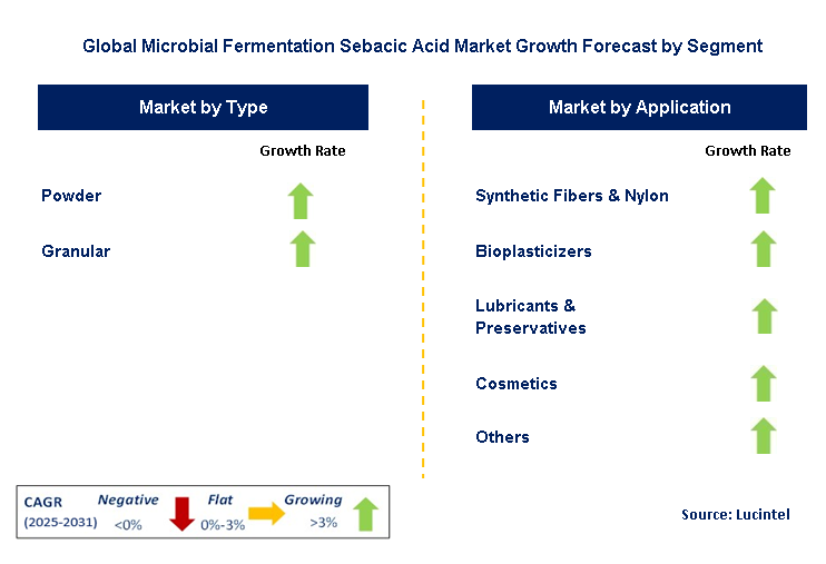 Microbial Fermentation Sebacic Acid Market by Segment