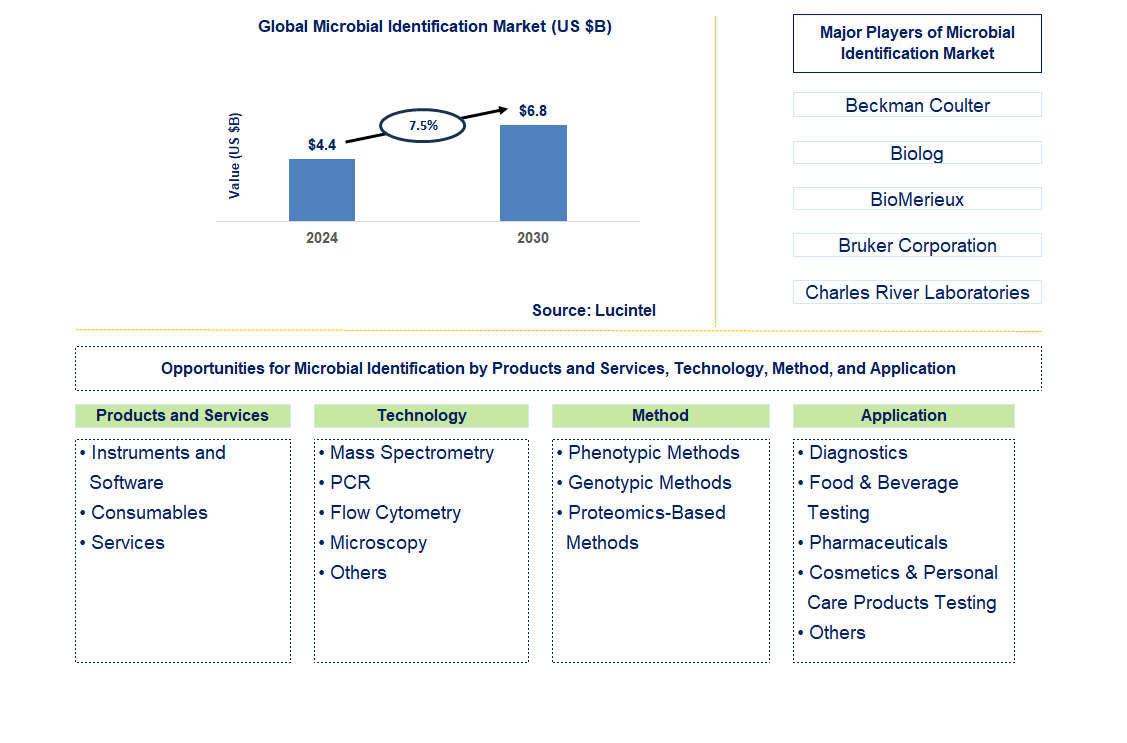 Microbial Identification Trends and Forecast