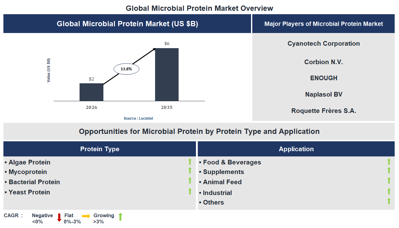 Microbial Protein Market Trends and Forecast
