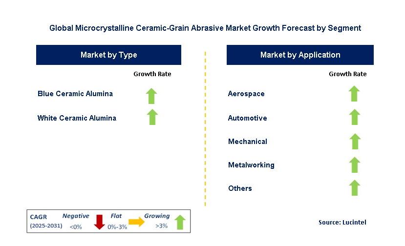 Microcrystalline Ceramic-Grain Abrasive Market by Segment
