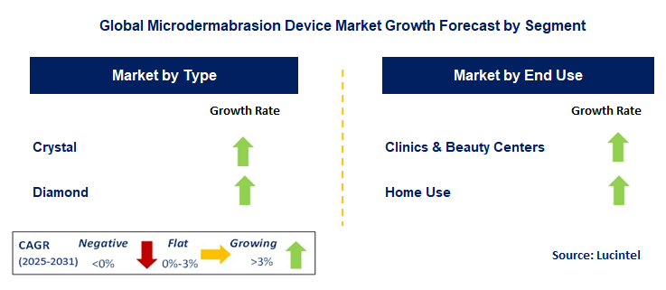 Microdermabrasion Device Market by Segment