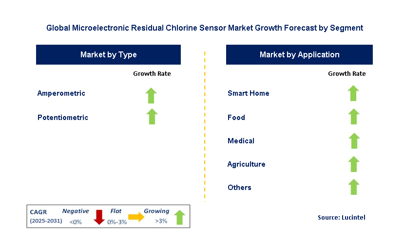 Microelectronic Residual Chlorine Sensor Market by Segment