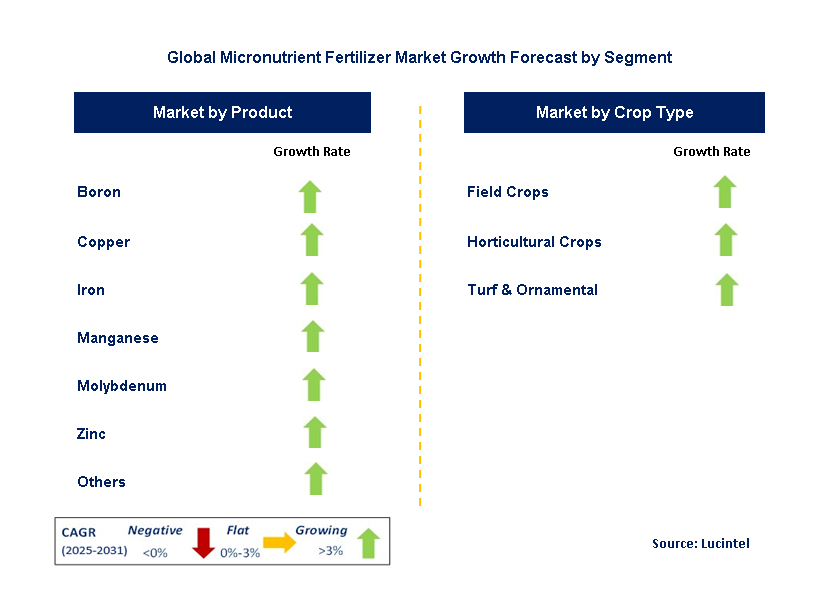 Micronutrient Fertilizer Market by Segment