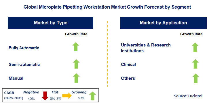 Microplate Pipetting Workstation Market by Segment