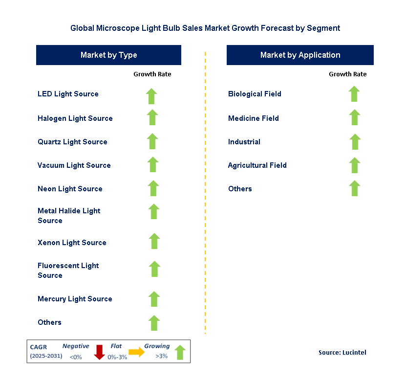 Microscope Light Bulb Sales Market by Segment