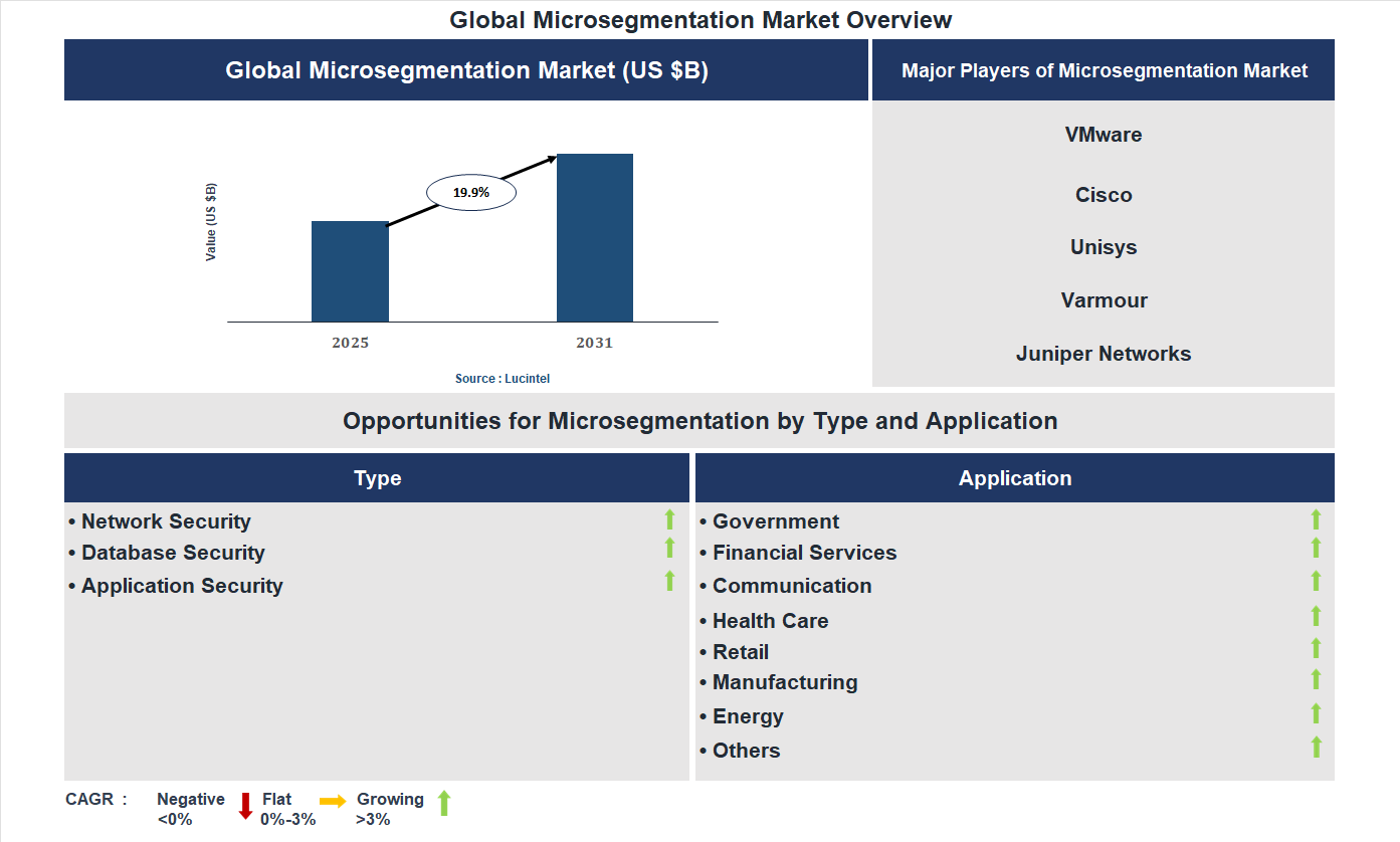 Microsegmentation Market Trends and Forecast