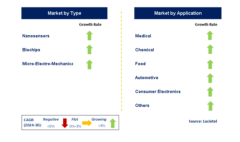 Microsensor by Segment