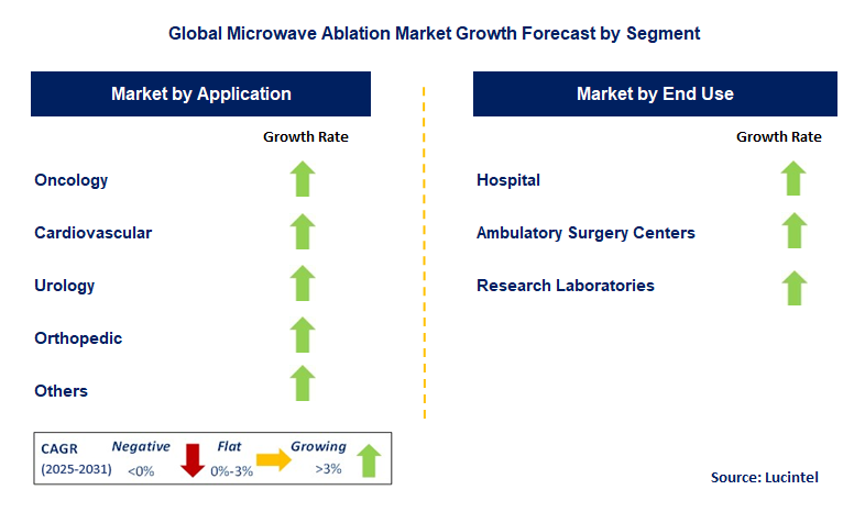 Microwave Ablation Market by Segment
