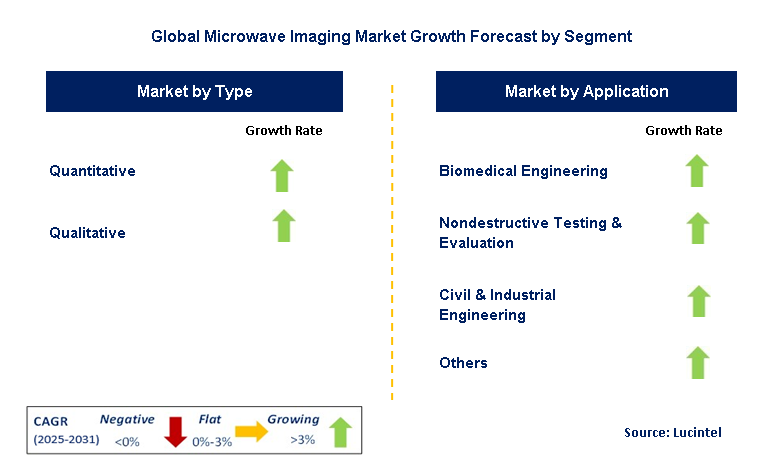 Microwave Imaging Market by Segment