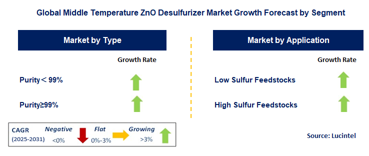 Middle Temperature ZnO Desulfurizer Market by Segment