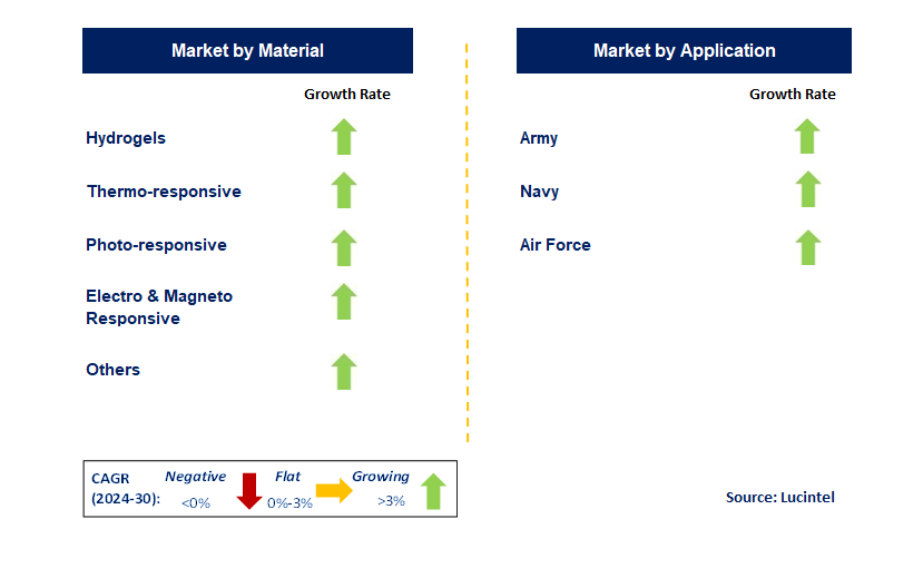 Military 4D Printing by Segment