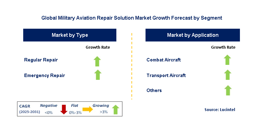 Military Aviation Repair Solution Market by Segment