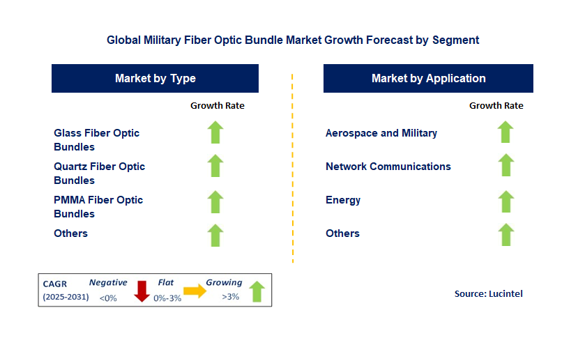 Military Fiber Optic Bundle Market by Segment