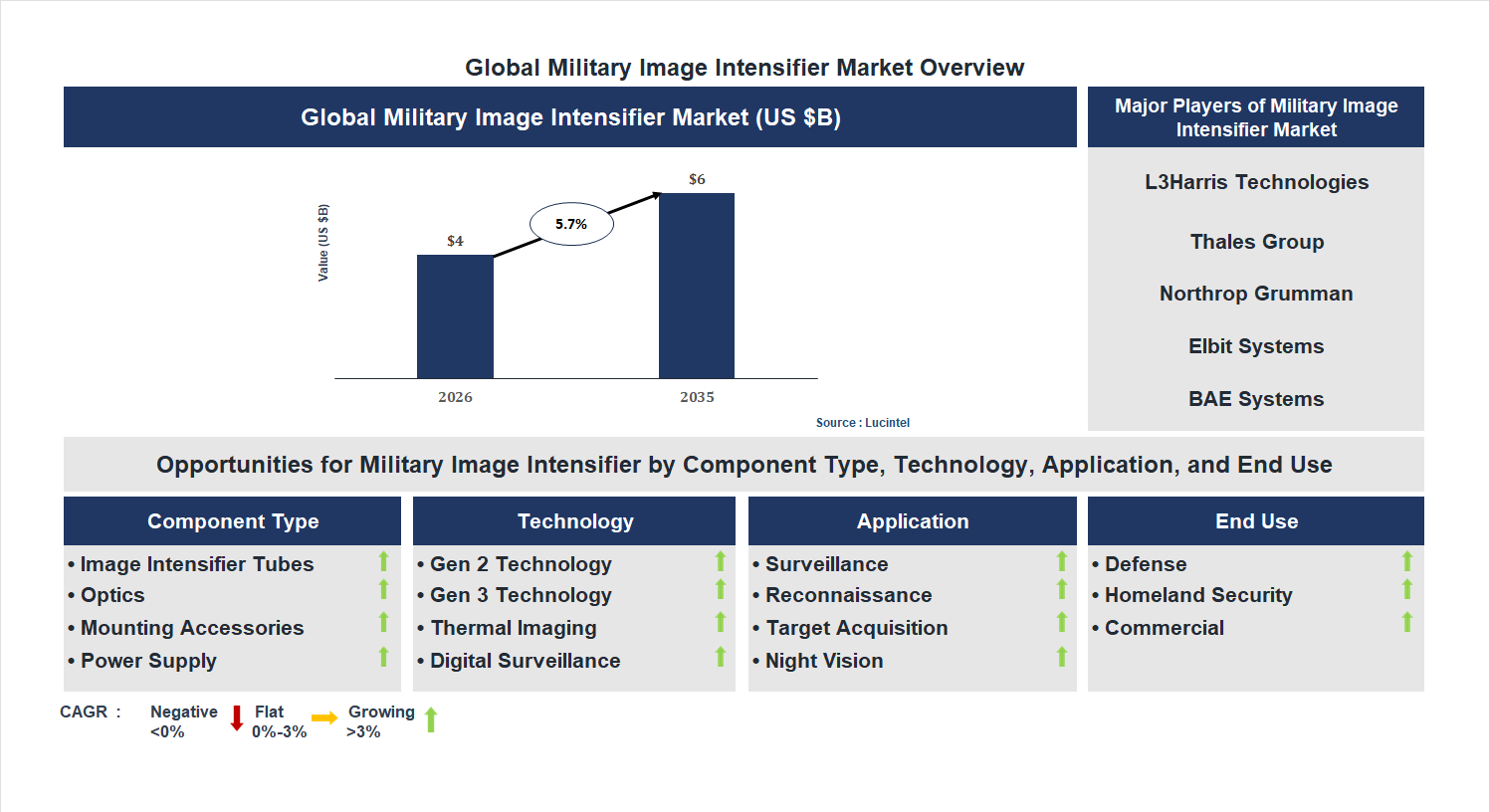 Military Image Intensifier Market Trends and Forecast