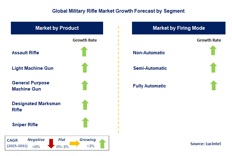Military Rifle Market by Segment