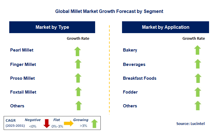 Millet Market by Segment