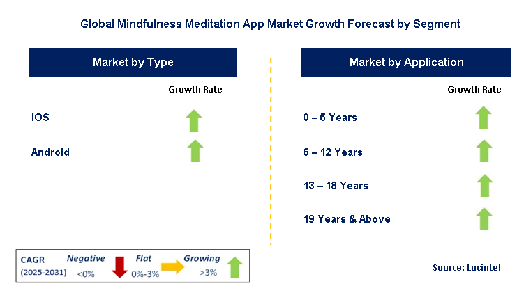 Mindfulness Meditation App Market by Segment