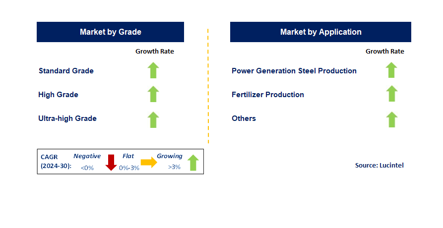 Mined Anthracite Coal by Segment