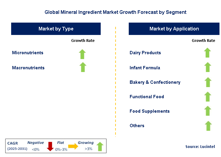 Mineral Ingredient Market by Segment