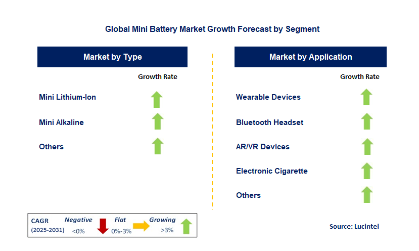 Mini Battery Market by Segment