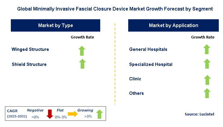 Minimally Invasive Fascial Closure Device Market by Segment