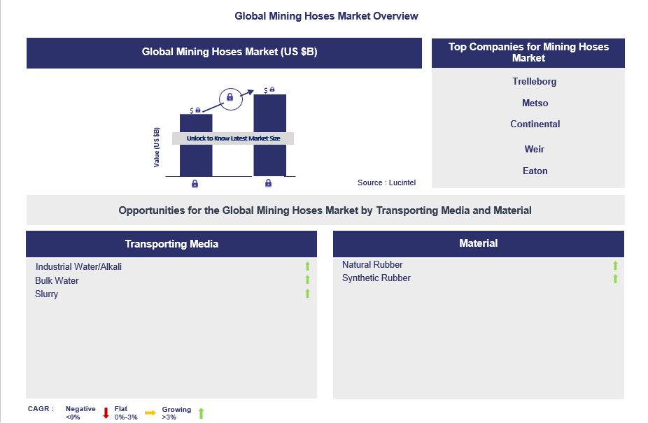 Mining Hoses Trends and Forecast