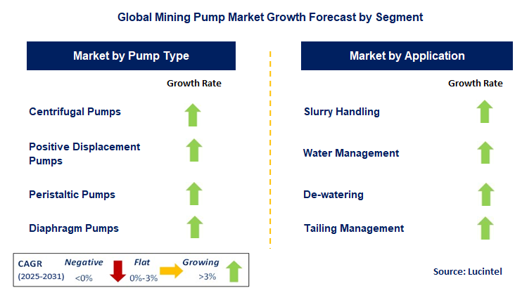 Mining Pump Market by Segment