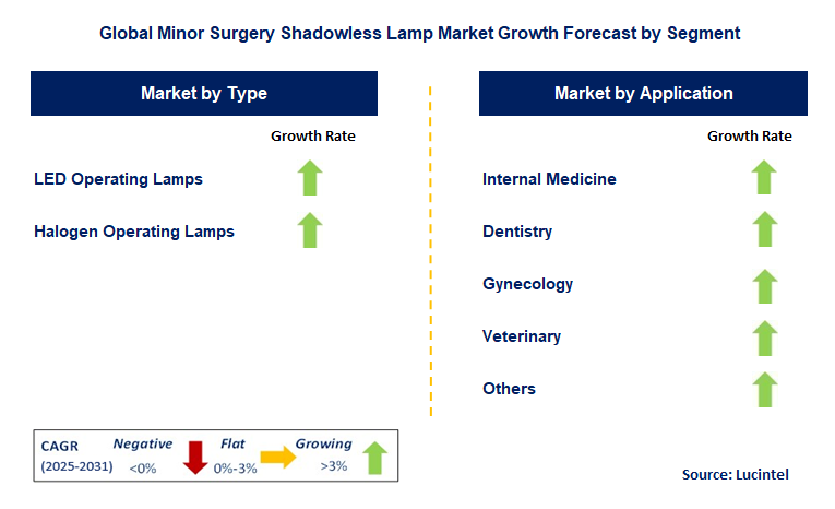 Minor Surgery Shadowless Lamp Market by Segment