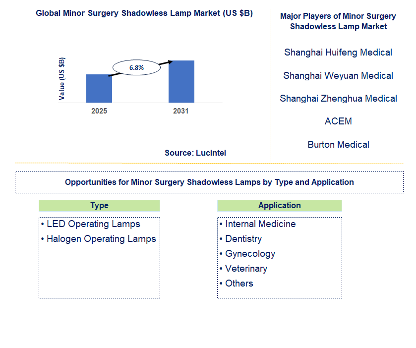 Minor Surgery Shadowless Lamp Market Trends and Forecast