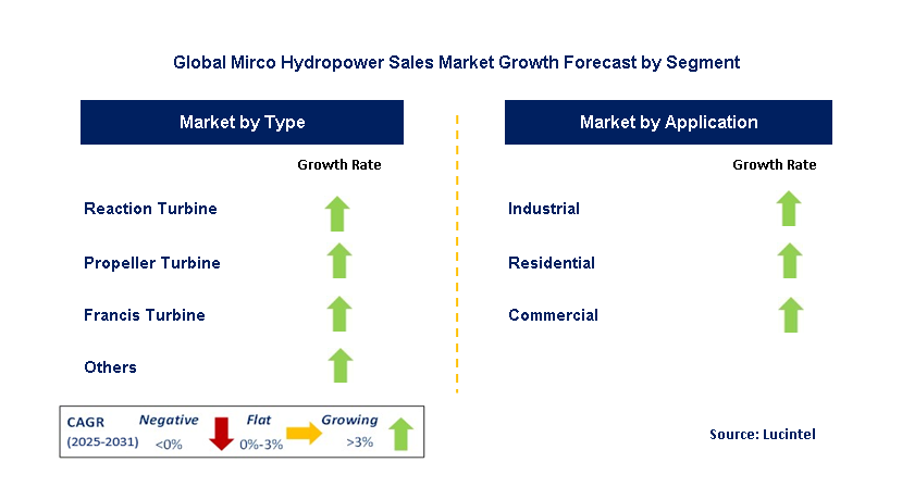 Mirco Hydropower Sales Market by Segment