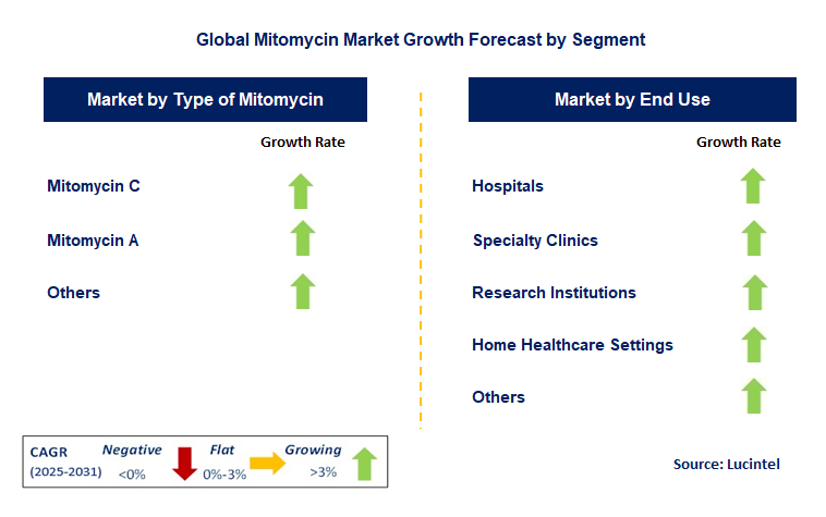 Mitomycin Market by Segment