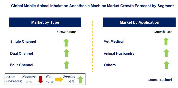 Mobile Animal Inhalation Anesthesia Machine Market by Segment