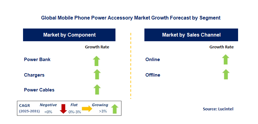 Mobile Phone Power Accessory Market by Segment