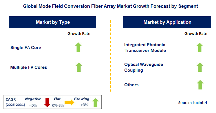 Mode Field Conversion Fiber Array Market by Segment