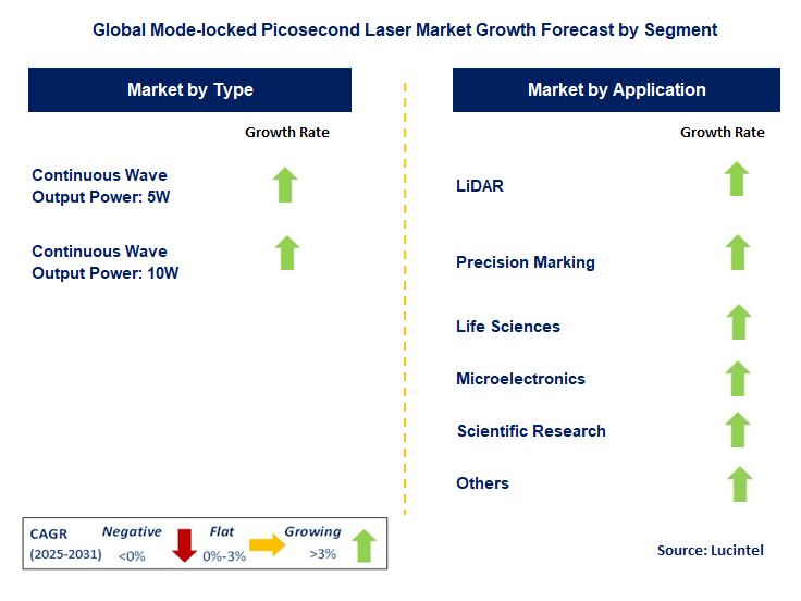 Mode-locked Picosecond Laser Market by Segment