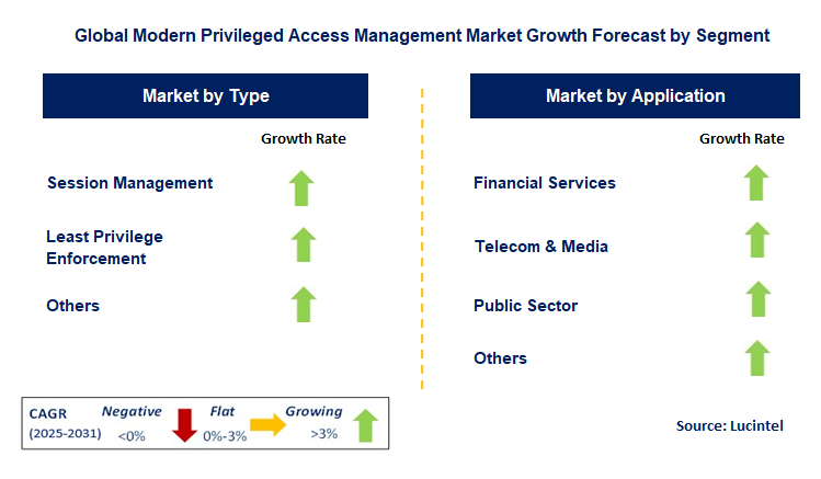 Modern Privileged Access Management Market by Segment