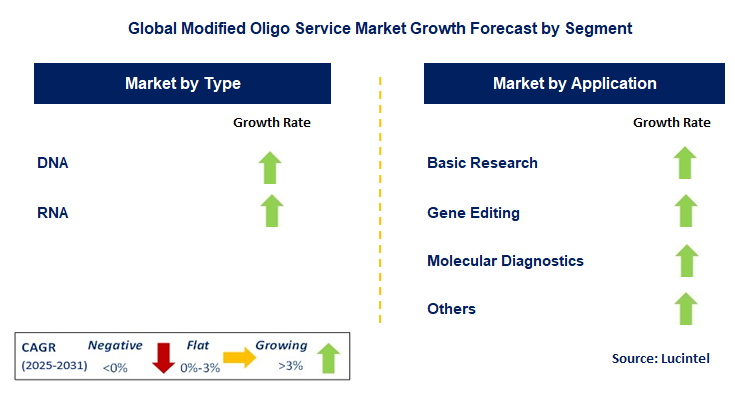 Modified Oligo Service Market by Segment