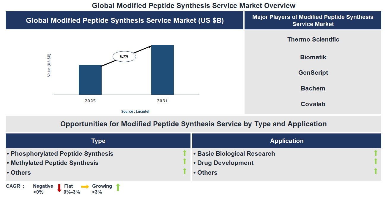 Modified Peptide Synthesis Service Market Trends and Forecast