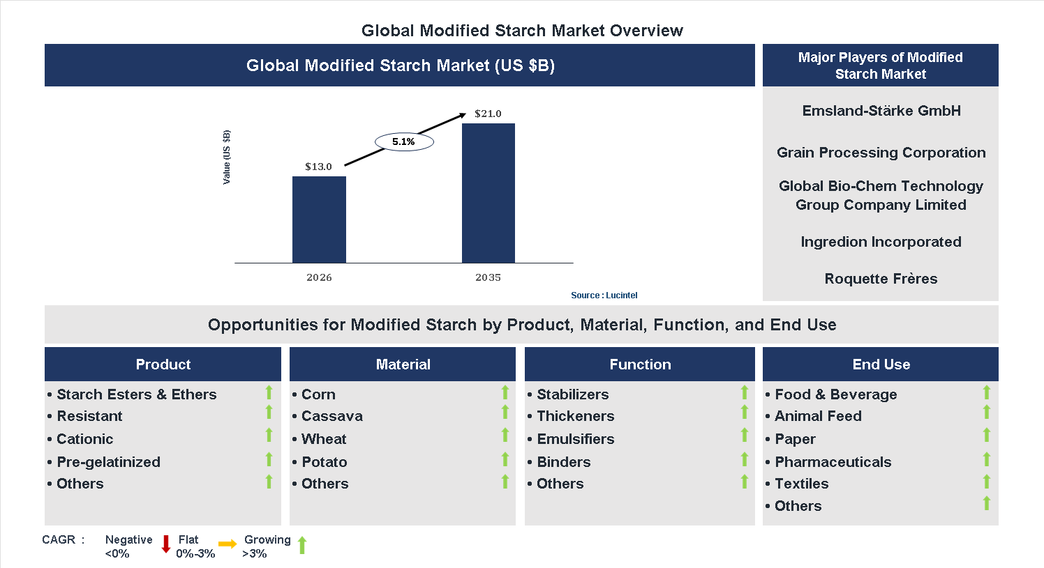 Modified Starch Market Trends and Forecast