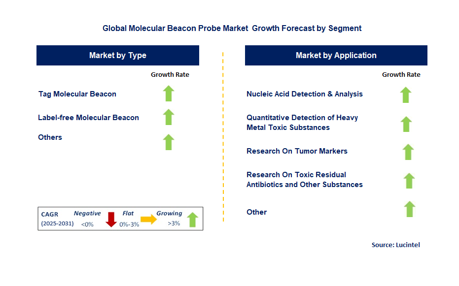 Molecular Beacon Probe Market by Segment