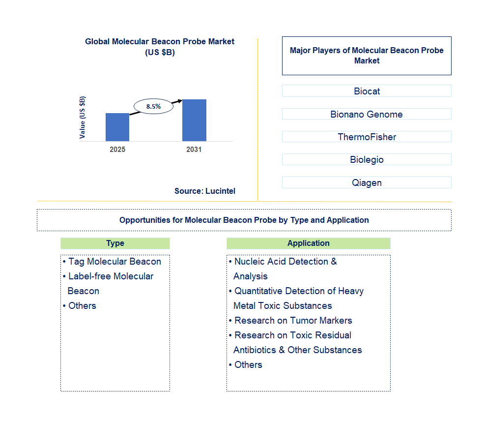 Molecular Beacon Probe Market Trends and Forecast