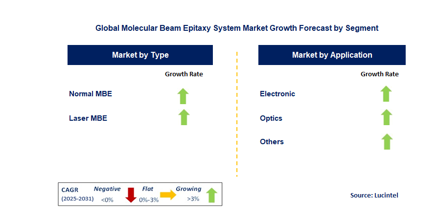 Molecular Beam Epitaxy System Market by Segment