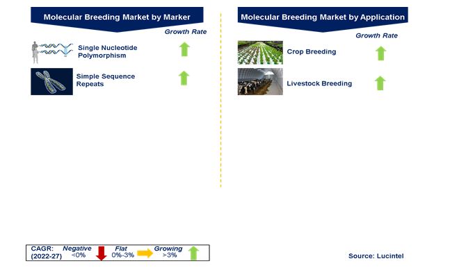 Molecular Breeding Market by Segments