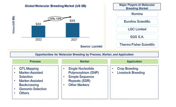 Molecular Breeding Market by Process, Marker, and Application