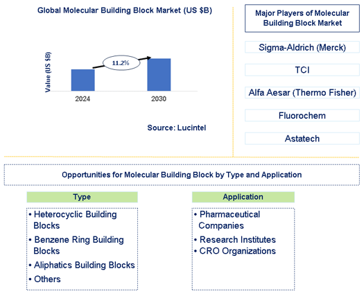 Molecular Building Block Market Trends and Forecast