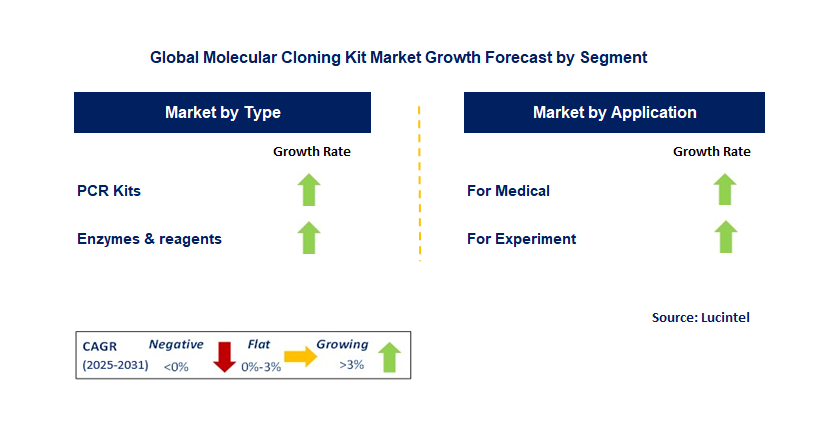 Molecular Cloning Kit Market by Segment