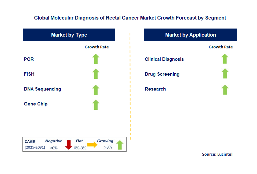 Molecular Diagnosis of Rectal Cancer Market by Segment