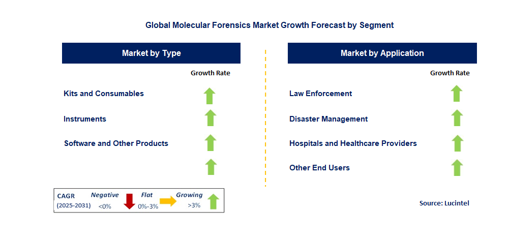 Molecular Forensics Market by Segment