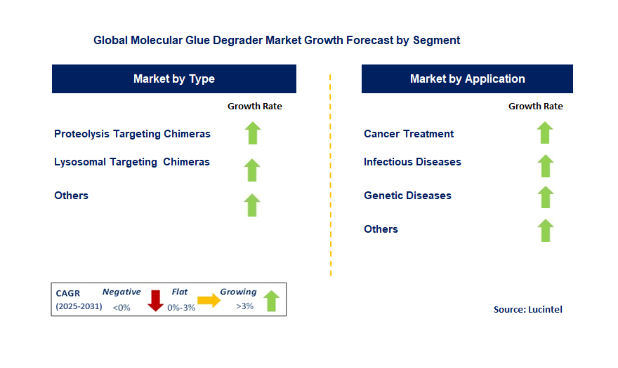 Molecular Glue Degrader Market by Segment