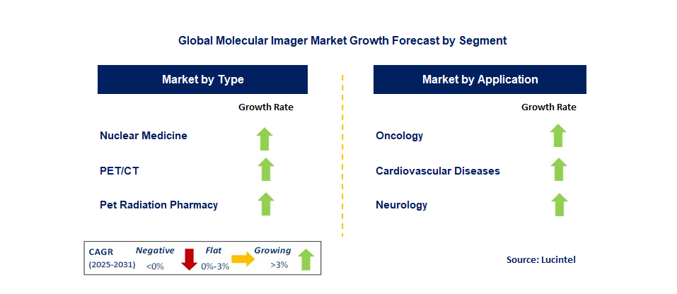 Molecular Imager Market by Segment